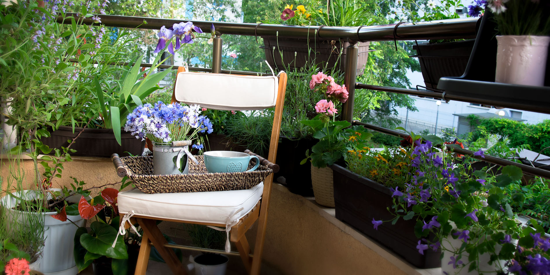 wiosenne kwiaty i rośliny na balkon